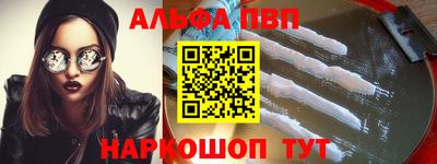 СК Гатчина