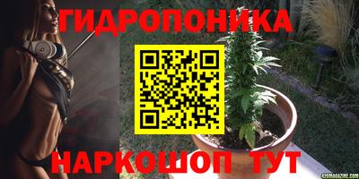 СК Гатчина