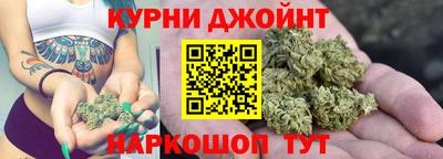 СК Гатчина