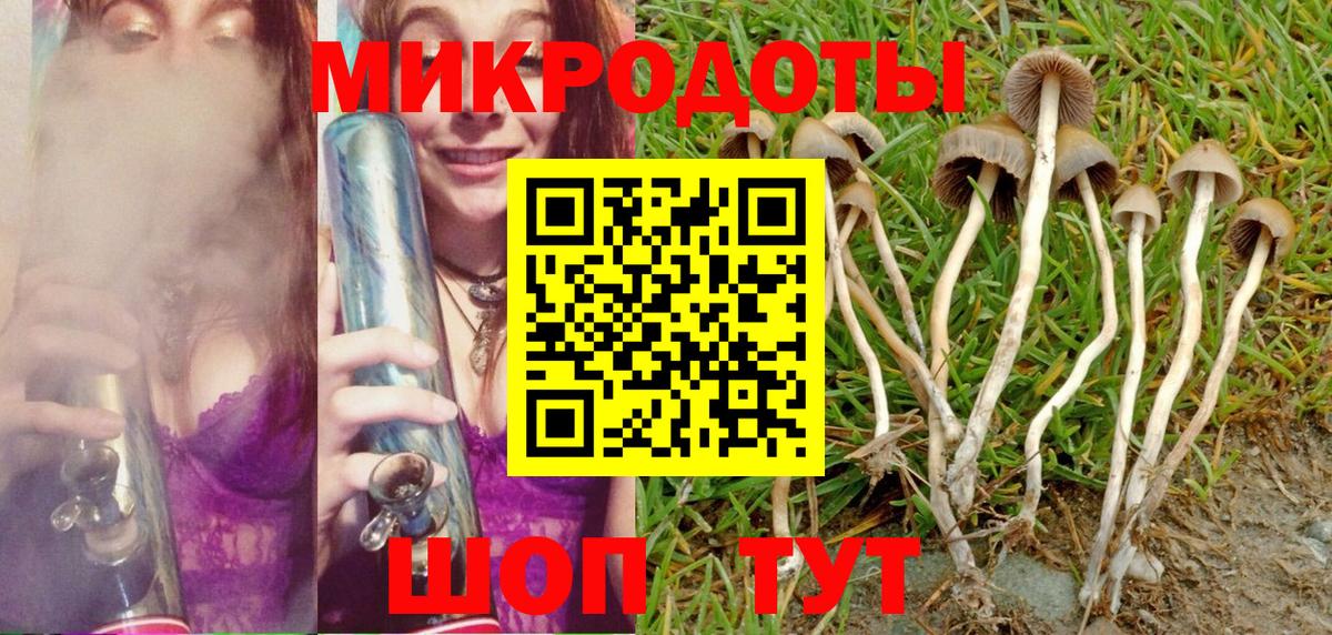 Псилоцибиновые грибы Cubensis  Вход с VPN  где можно купить   Мценск  Псилоцибиновые грибы MAGIC MUSHROOMS 
