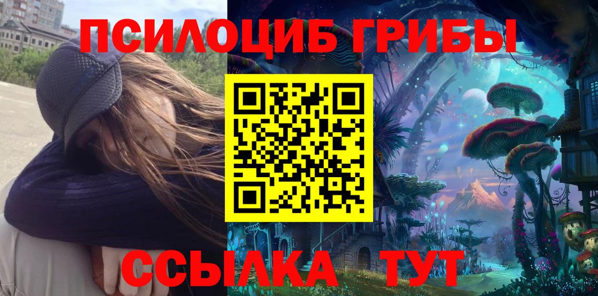 Псилоцибиновые грибы мицелий Мценск